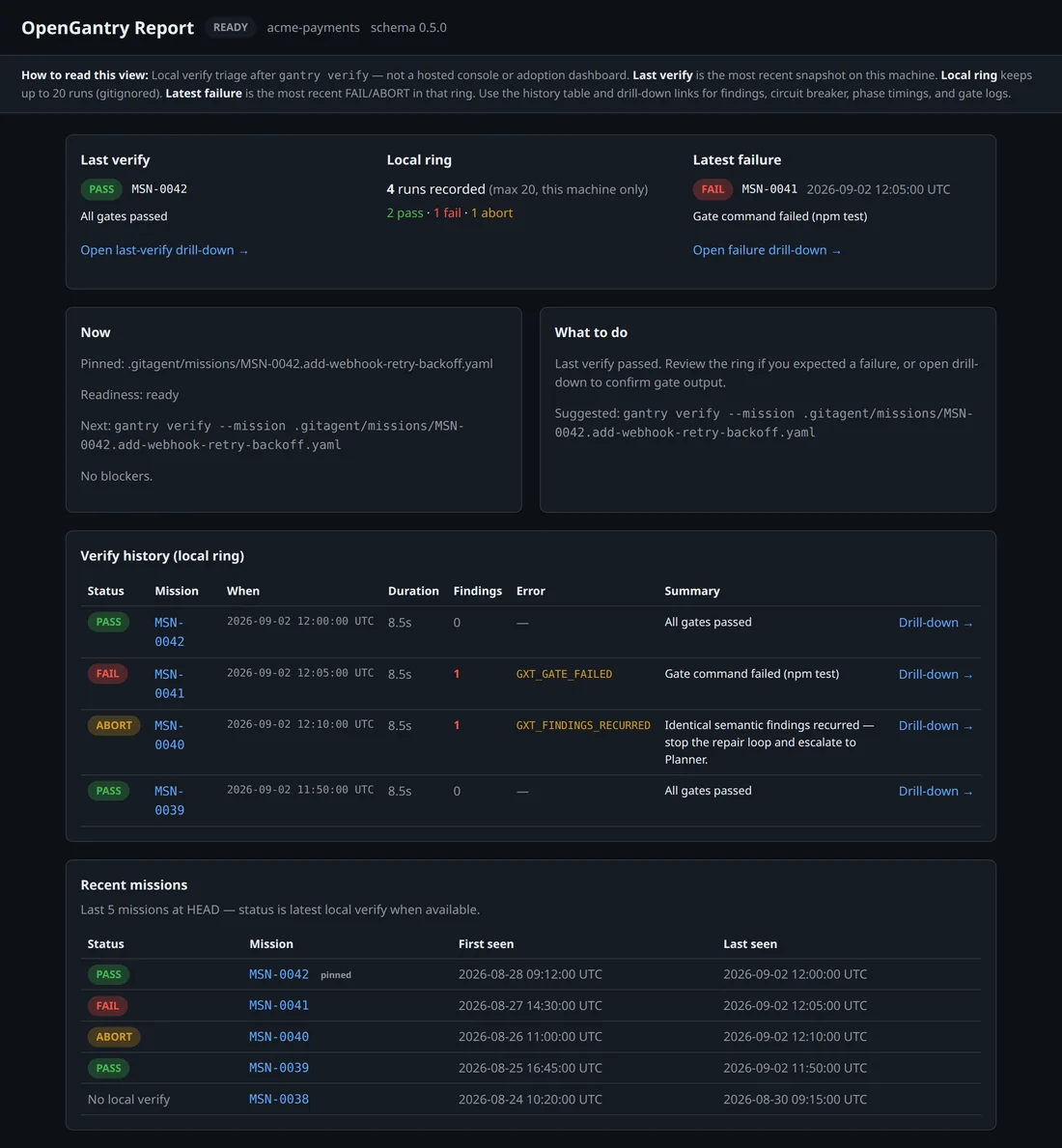 gantry report overview with last verify, local ring breakdown, and verify history table