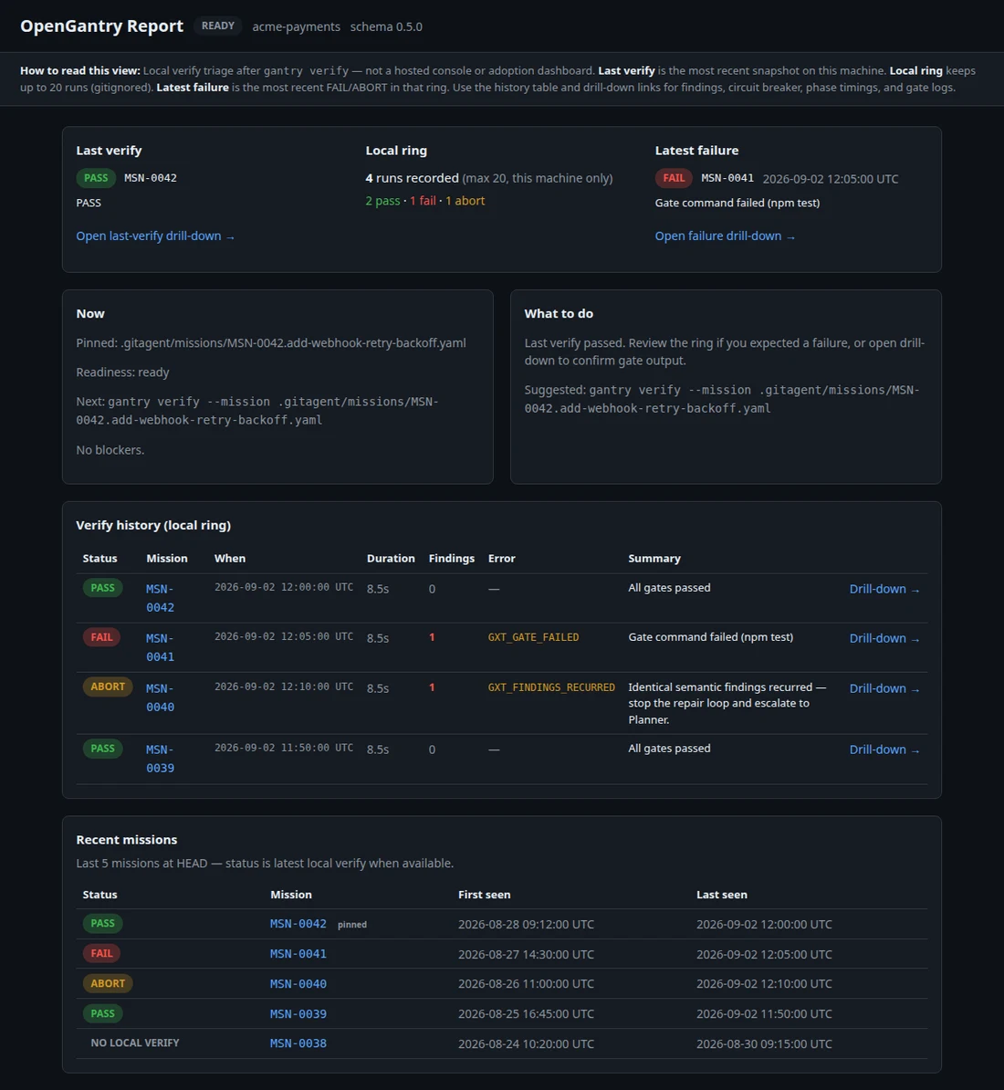 gantry report overview with last verify, local ring breakdown, and verify history table